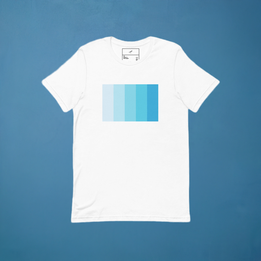 Faded Blues T-shirt (Men / Women)