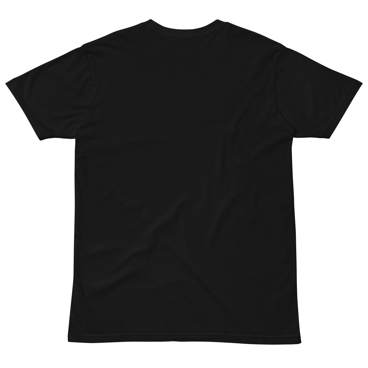 PURE Premium T-Shirt Black (Men / Women)